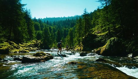 Şehir Çevresinde Saklı Doğa Cennetleri: Günübirlik Doğa Kaçamakları İçin En İyi 